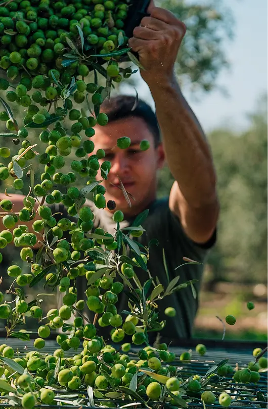 événement d’entreprise en Sicile - agence réceptive - accès aux acteurs locaux